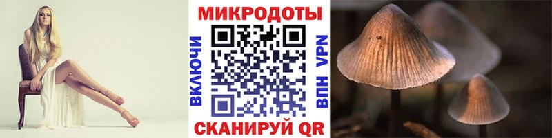 Псилоцибиновые грибы GOLDEN TEACHER дарнет шоп Кингисепп