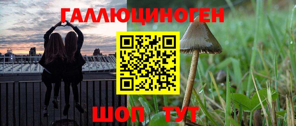 Псилоцибиновые грибы Magic Shrooms Кингисепп