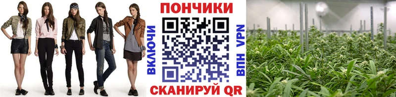 купить наркотик Кингисепп Бошки Шишки VHQ